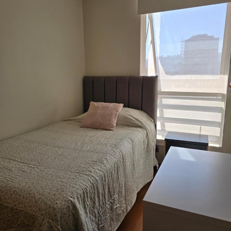 Providencia central y acogedor departamento 2 dorm Wifi y parking gratis - Two-Bedroom Apartment with Terrace - 8