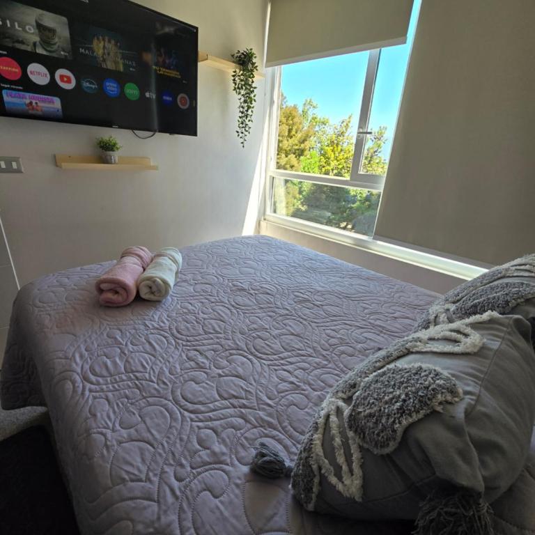 Providencia central y acogedor departamento 2 dorm Wifi y parking gratis - Two-Bedroom Apartment with Terrace - 13