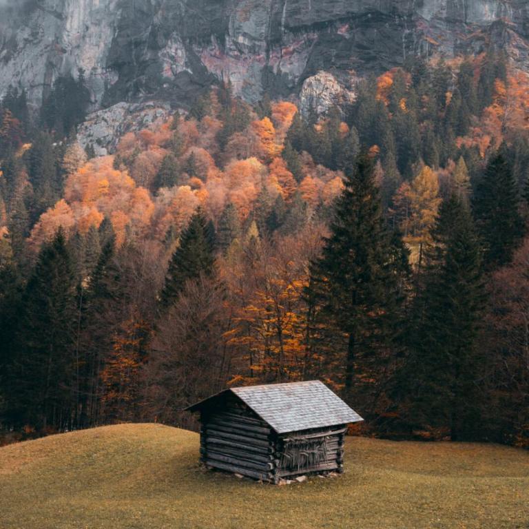 Alpenlodge FUCHSBAU - One-Bedroom Apartment - 10