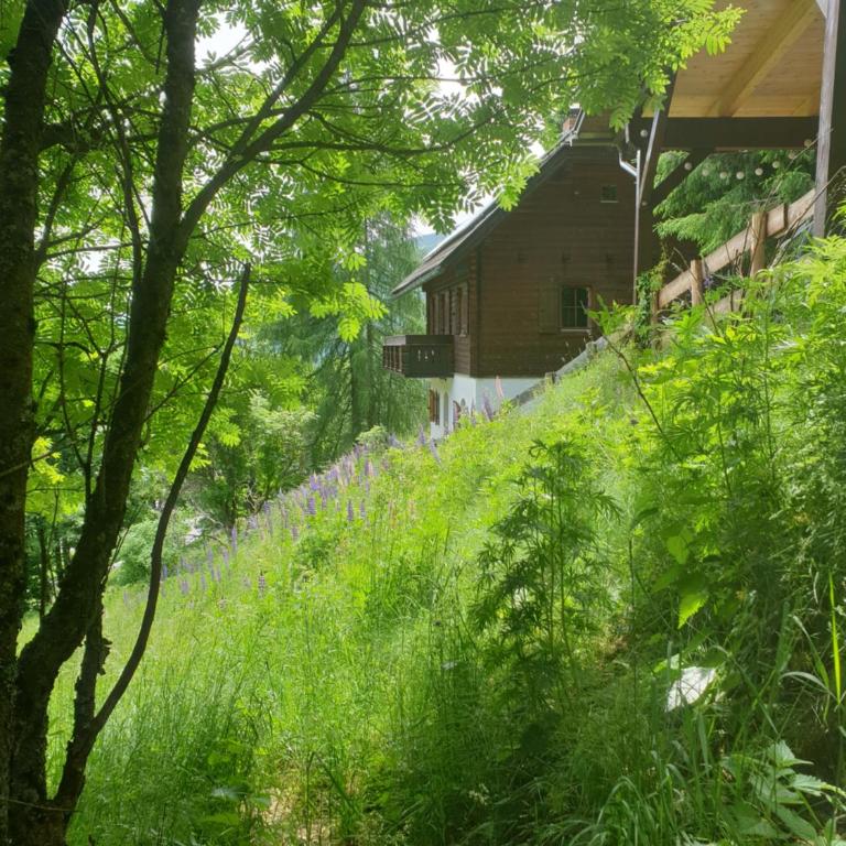 Chalet Talblick - Chalet mit 3 Schlafzimmern - 4