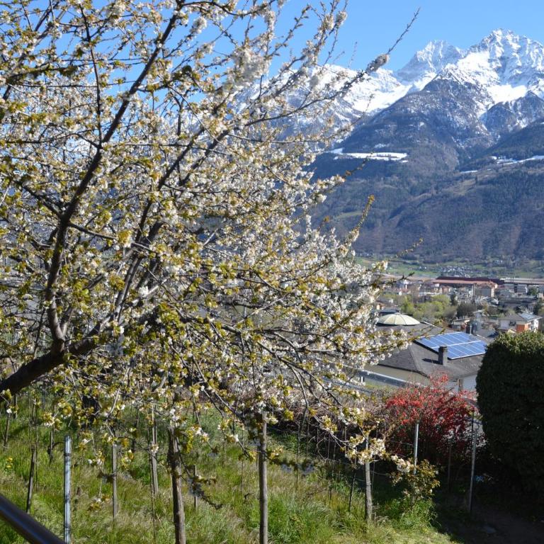 La casa nella vigna - Appartamento con 2 Camere da Letto - 19