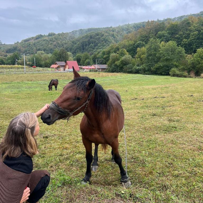 Seosko domacinstvo Rajska Dolina - One-Bedroom House - 7