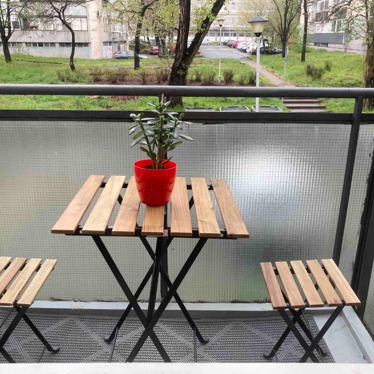Apartman Dara - Novi Beograd - Apartman sa 1 Spavaćom Sobom - 6