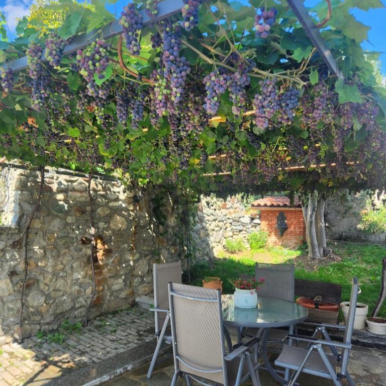 La Mèison de la Louye 2 - One-Bedroom Apartment - 9