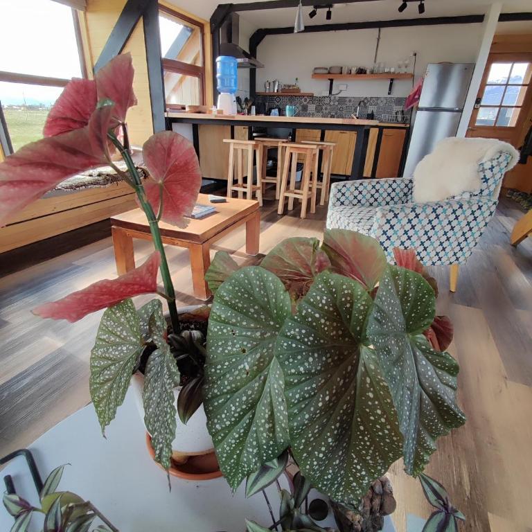 Casa Lenga, 5 km from Puerto Natales - Casa con 1 dormitorio - 12
