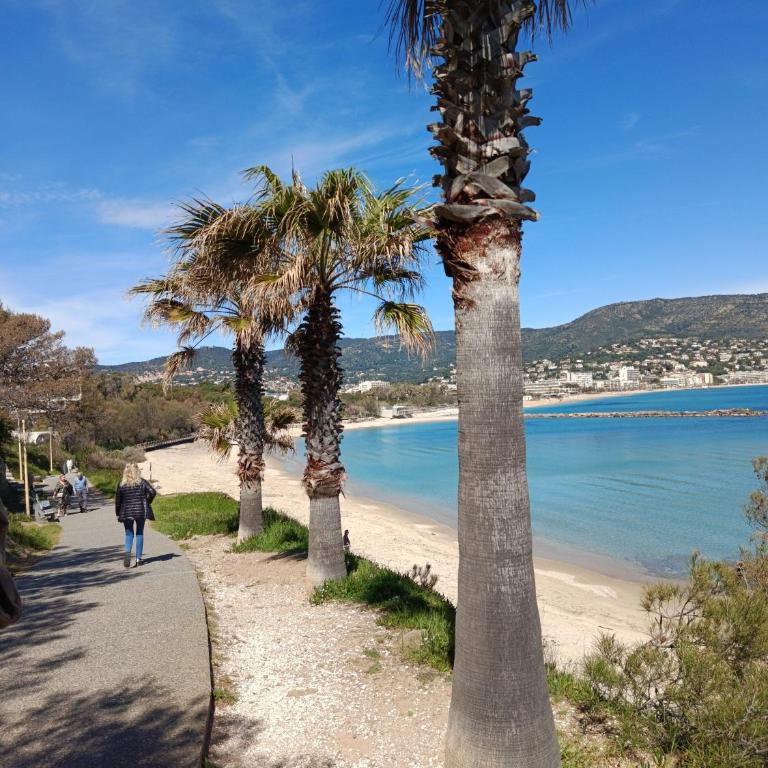 L'endroit - Appartement 1 Chambre avec Vue sur la Mer et Balcon - 12