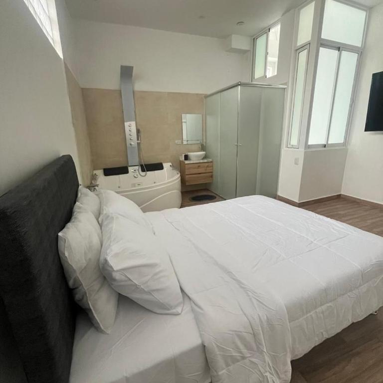 Dpto de Lujo Centrico con Jacuzzi y Balcon Parque de las Aguas - Two-Bedroom Apartment with Balcony - 34