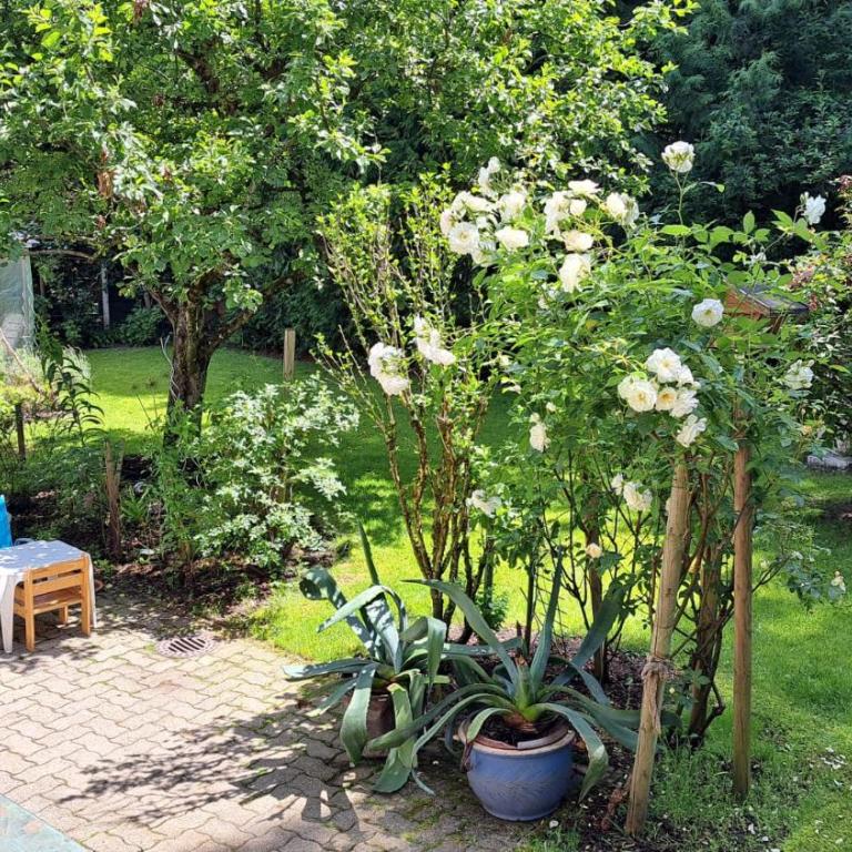 Ferienwohnung Kaiser - Appartamento con 2 Camere da Letto - 4