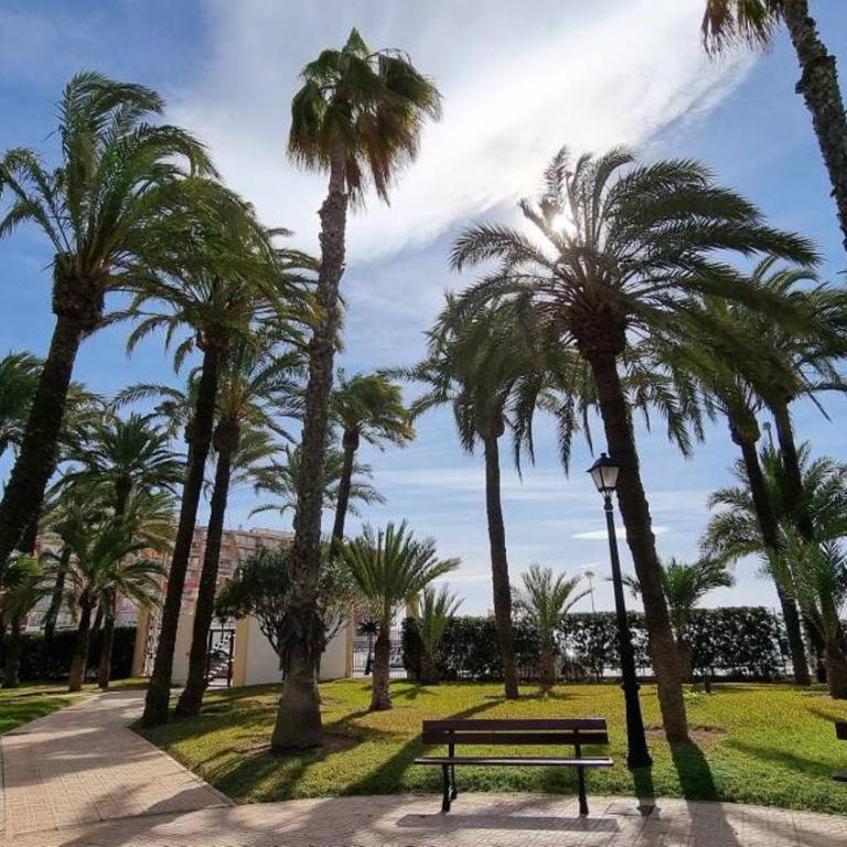Penthouse c Patricio Zammit Torrevieja - Apartment mit 2 Schlafzimmern - 23