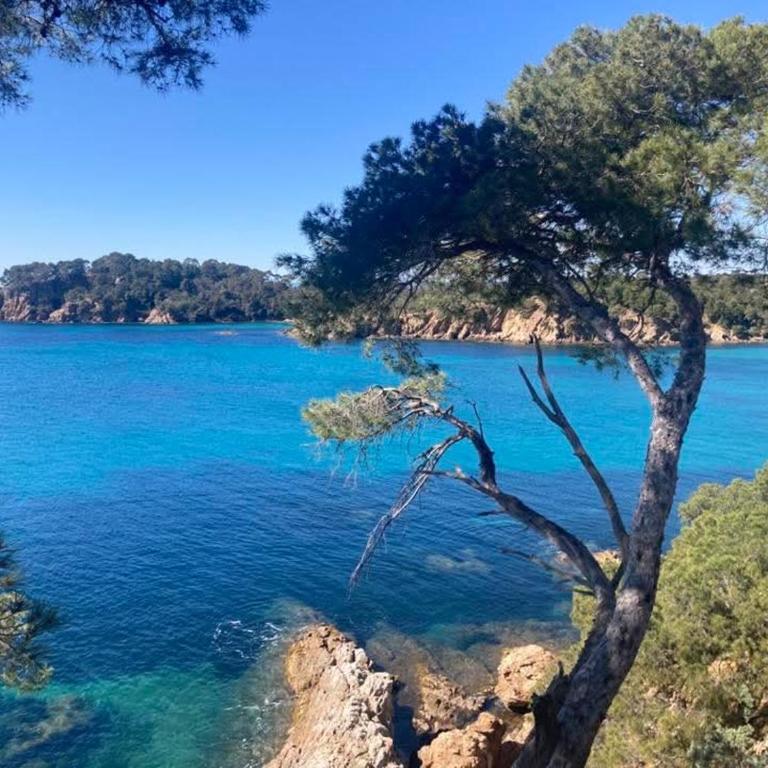 L'endroit - Appartement 1 Chambre avec Vue sur la Mer et Balcon - 17