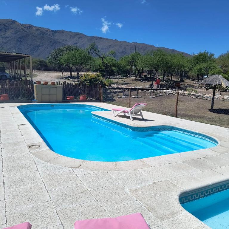 San Luis Aparts - One-Bedroom Apartment - 9