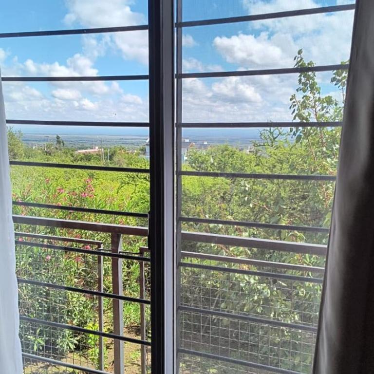 San Luis Aparts - One-Bedroom Apartment - 8