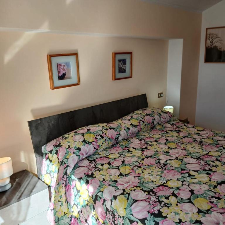 Bellavista garden and flowers - Appartamento con Vista Lago - 14