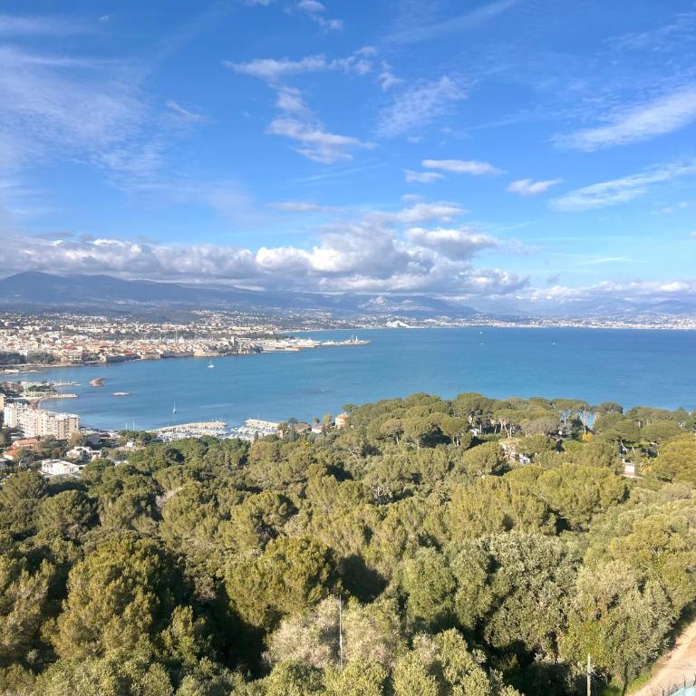Charmant Studio Plage de la Salis, Belle Terrasse - Appartement 1 Chambre - 19