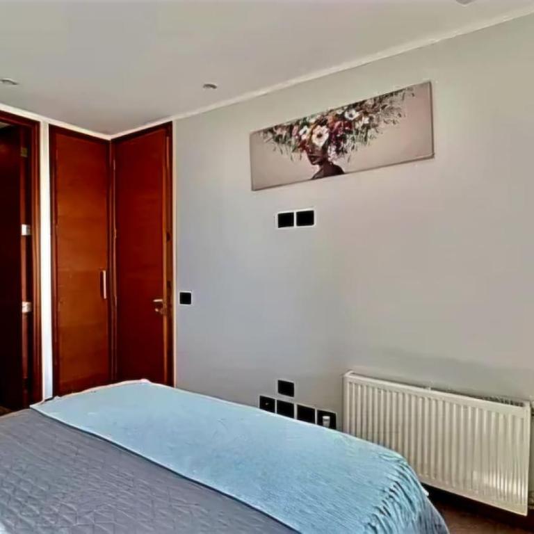Departamento Puntilla Villarrica acceso al lago full equipado - Apartamento de 3 dormitorios con vistas al lago - 14