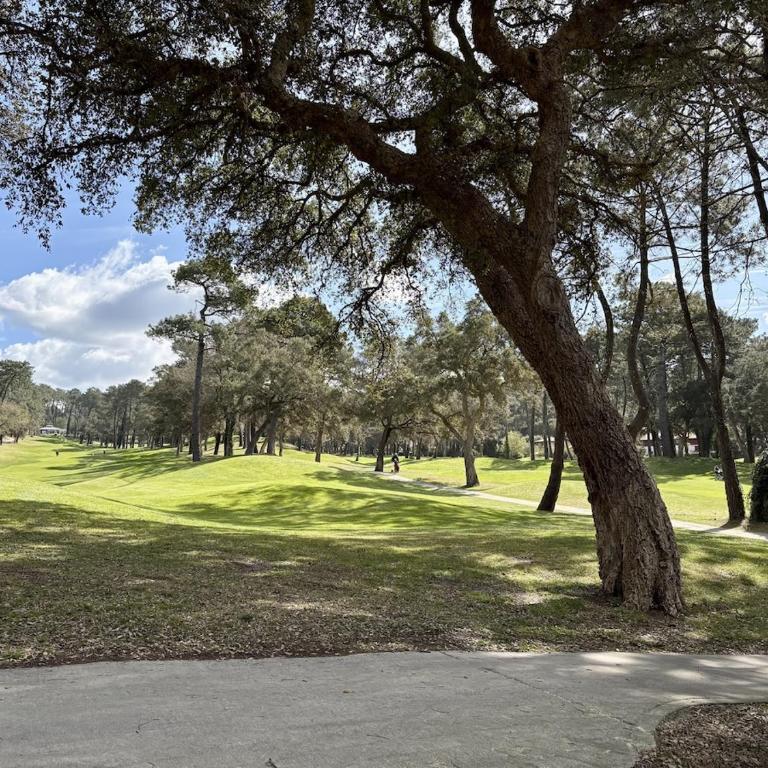 La Villa Du Golf - Four-Bedroom House - 17
