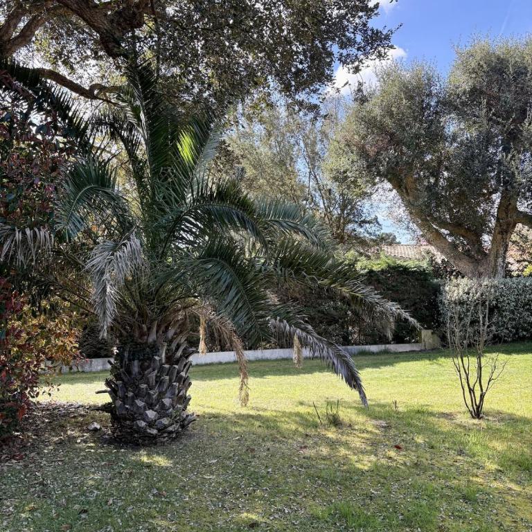 La Villa Du Golf - Four-Bedroom House - 22