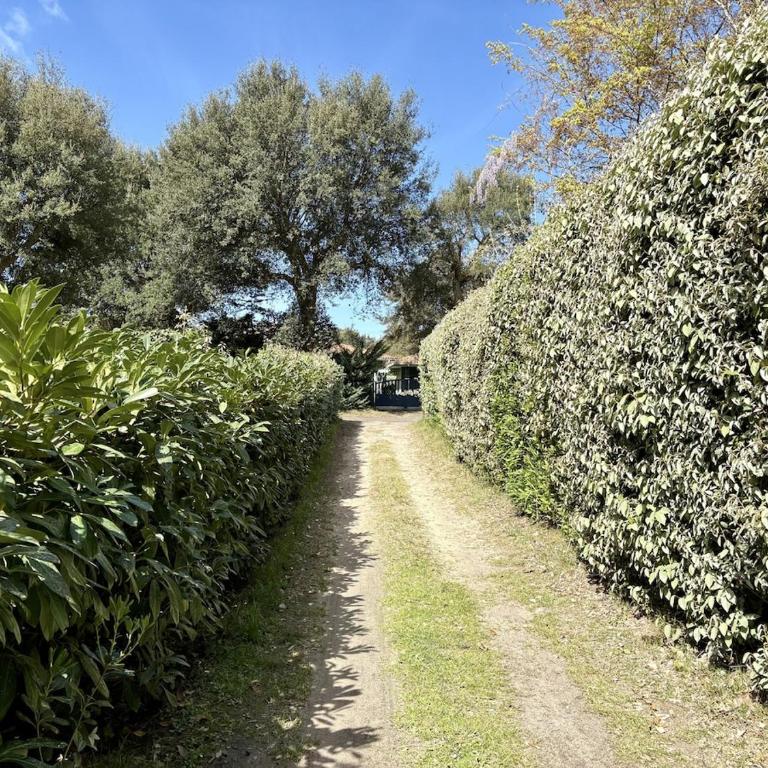 La Villa Du Golf - Four-Bedroom House - 29