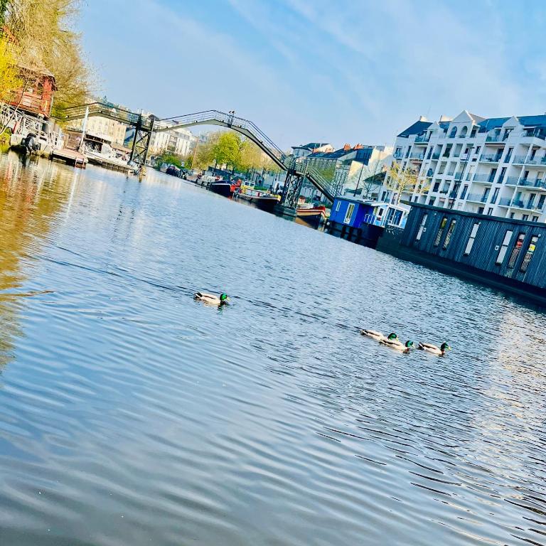 Coup de foudre sur Erdre - Appartement 1 Chambre - 14