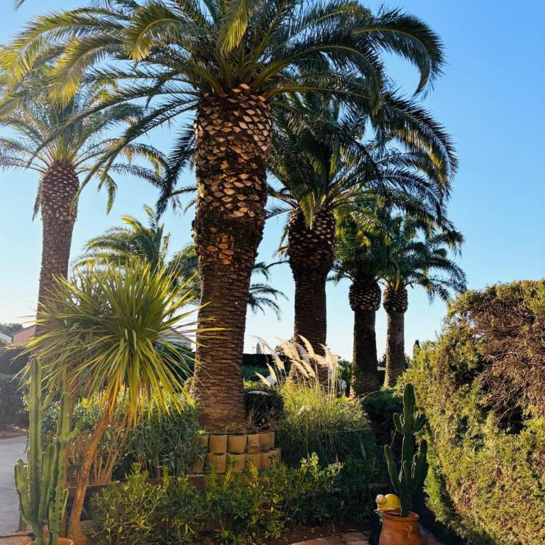 Modern Seaside studio - Appartamento con 1 Camera da Letto - 18