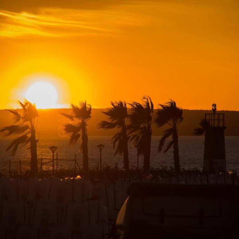 6 Arenas II - Los Arenales del Sol - Pool - Beach - Apartamento de 2 dormitorios - 37