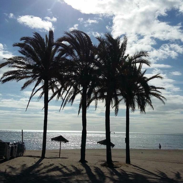Casa del Puerto de Estepona - Apartamento de 1 dormitorio - 23