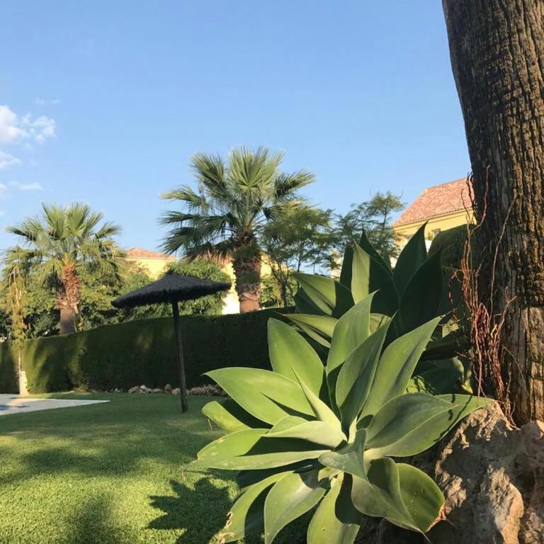 Casa del Puerto de Estepona - Apartamento de 1 dormitorio - 20