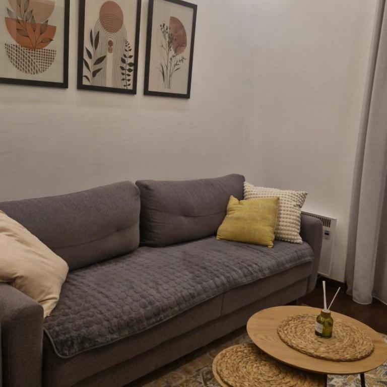 Harmony Zlatibor - One-Bedroom Apartment - 5