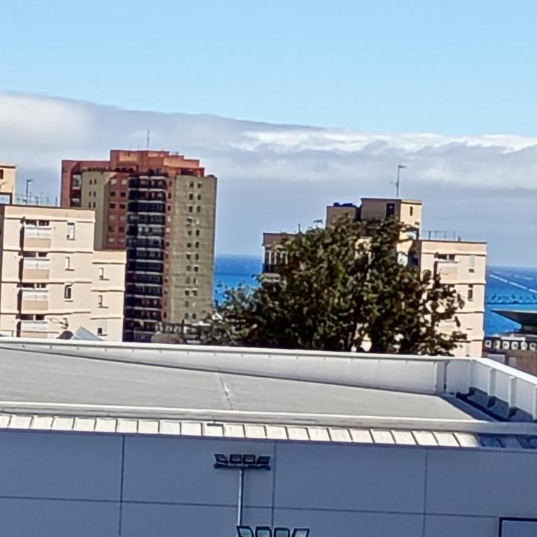 Little Italy - Apartamento de 1 dormitorio - 26