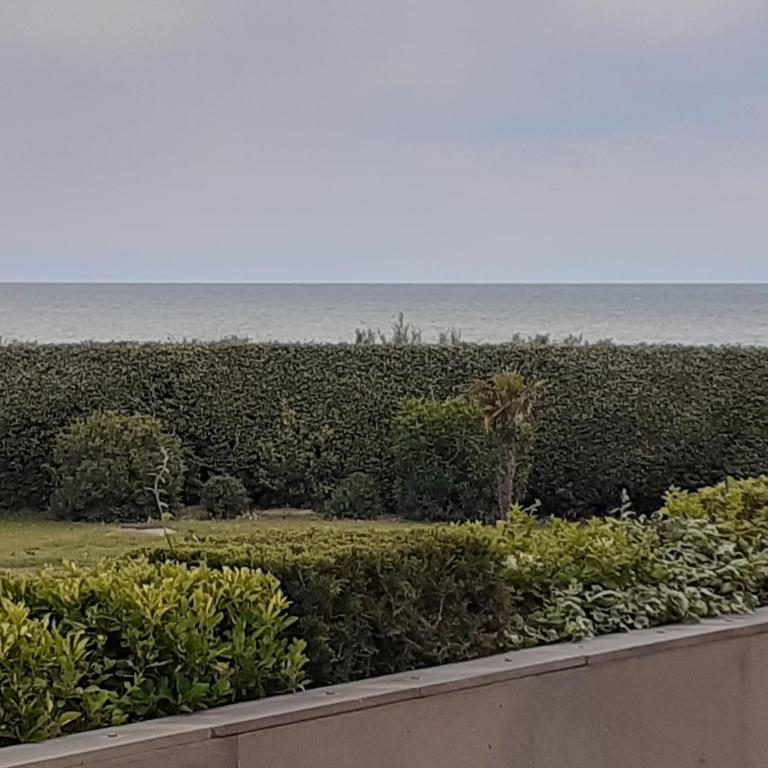 Les Rivages de Rochelongues, T3, piscine, clim, parking - Appartement 3 Chambres - 16