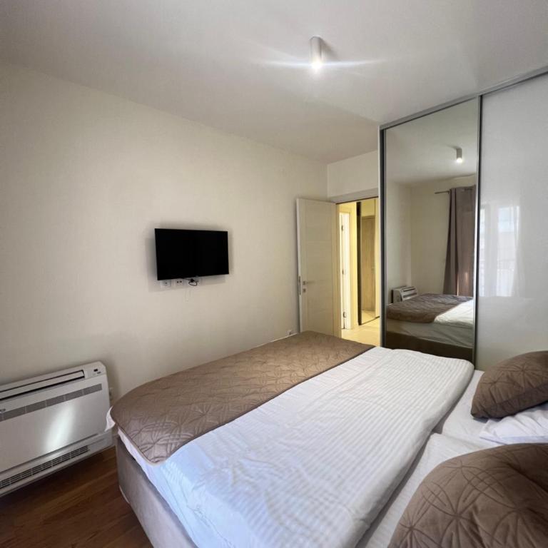 Apartment Central Point - Podgorica - Classic One-Bedroom Apartment with King Bed - 10