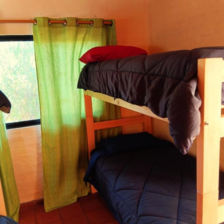 Refugio en Quebrada Alvarado, Olmué - Four-Bedroom House - 19