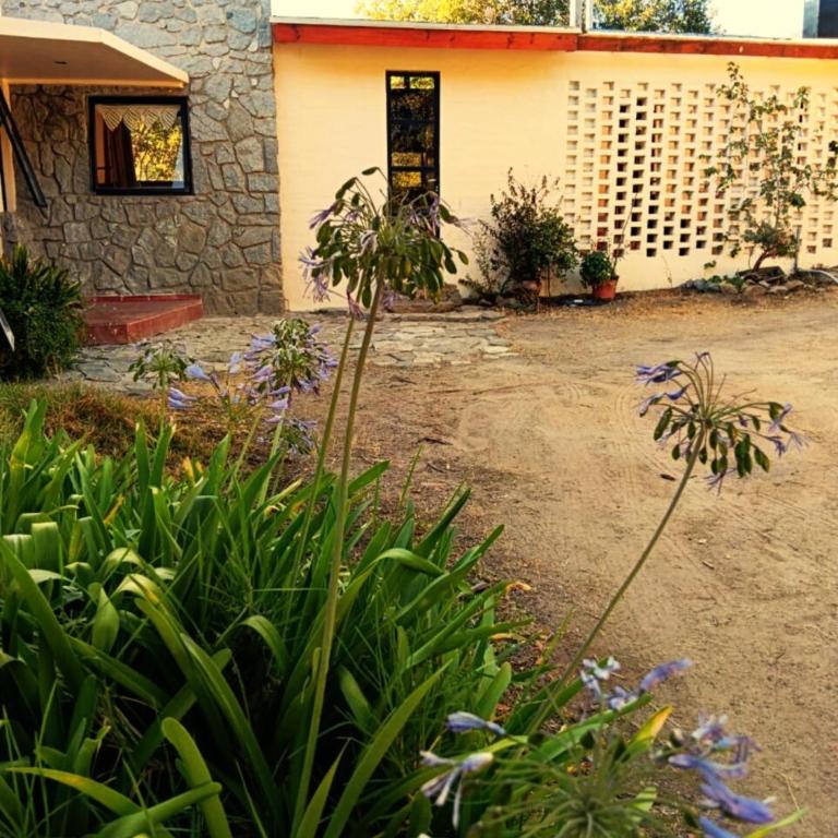 Refugio en Quebrada Alvarado, Olmué - Four-Bedroom House - 10