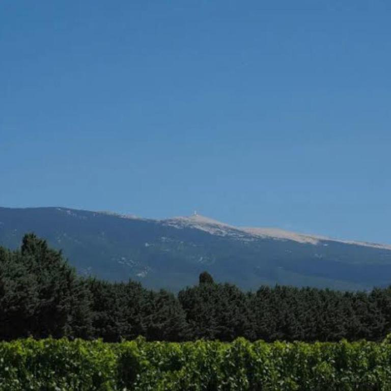 Gite Romantique avec SPA- Rêve de Bali - au Mont Ventoux - Maison 2 Chambres - 24