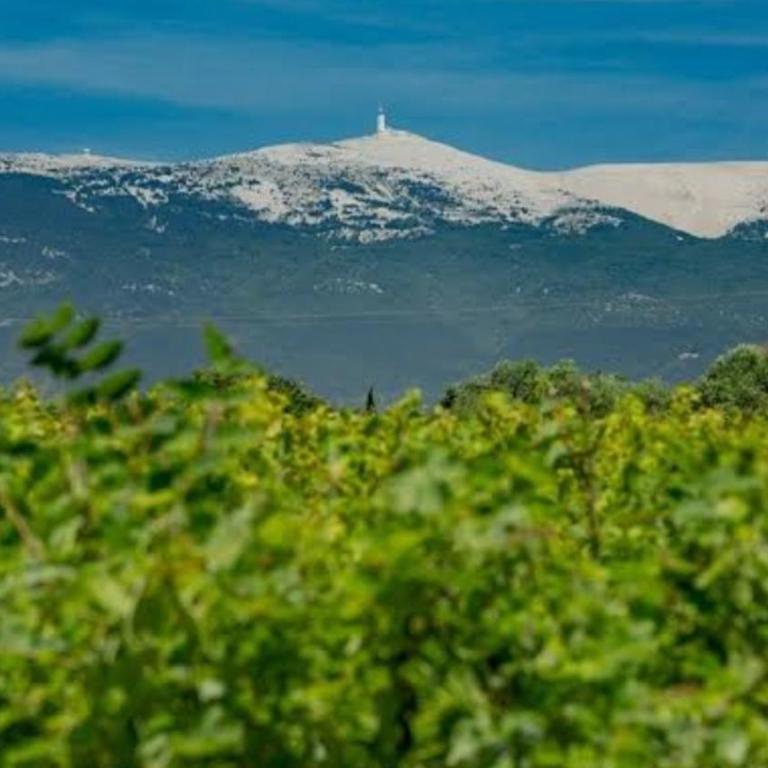 Gite Romantique avec SPA- Rêve de Bali - au Mont Ventoux - Maison 2 Chambres - 25
