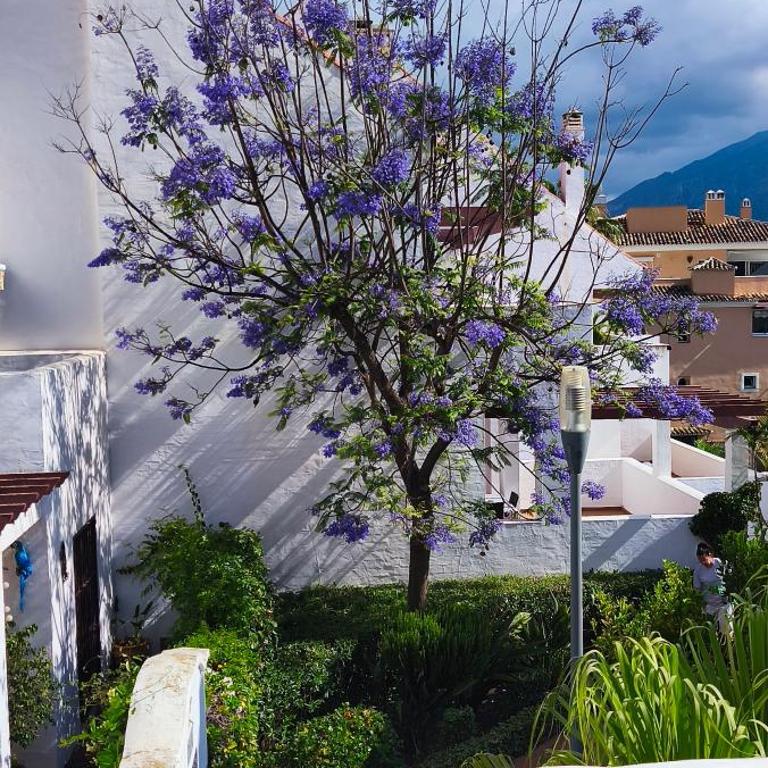 "Mountain View" 2 Bedroom Apartment with Pools Parking - Apartamento de 2 dormitorios - 13