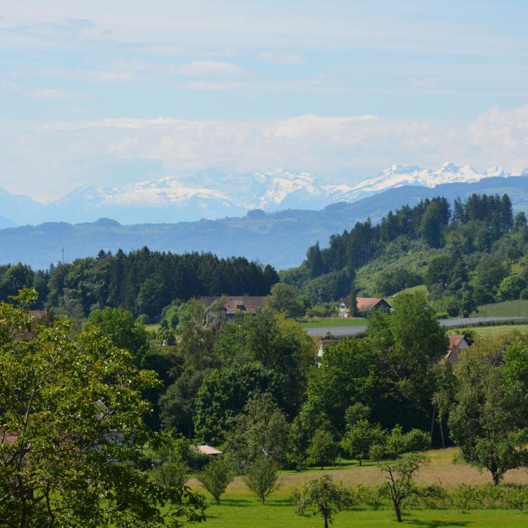 Am Alpenblick 5 - Superior Apartment mit 1 Schlafzimmer - 2