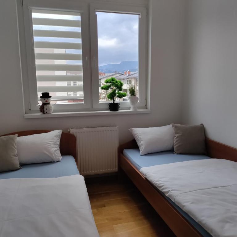 Ella - Apartment with Balcony - 9