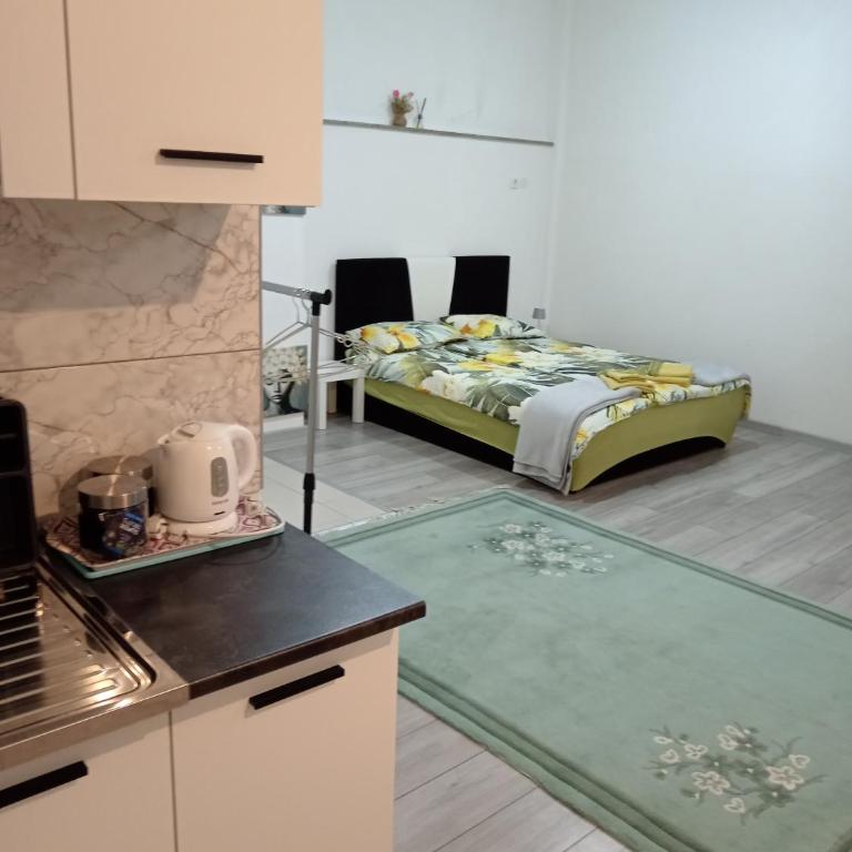 Studio apartman Sokak - One-Bedroom Apartment - 4