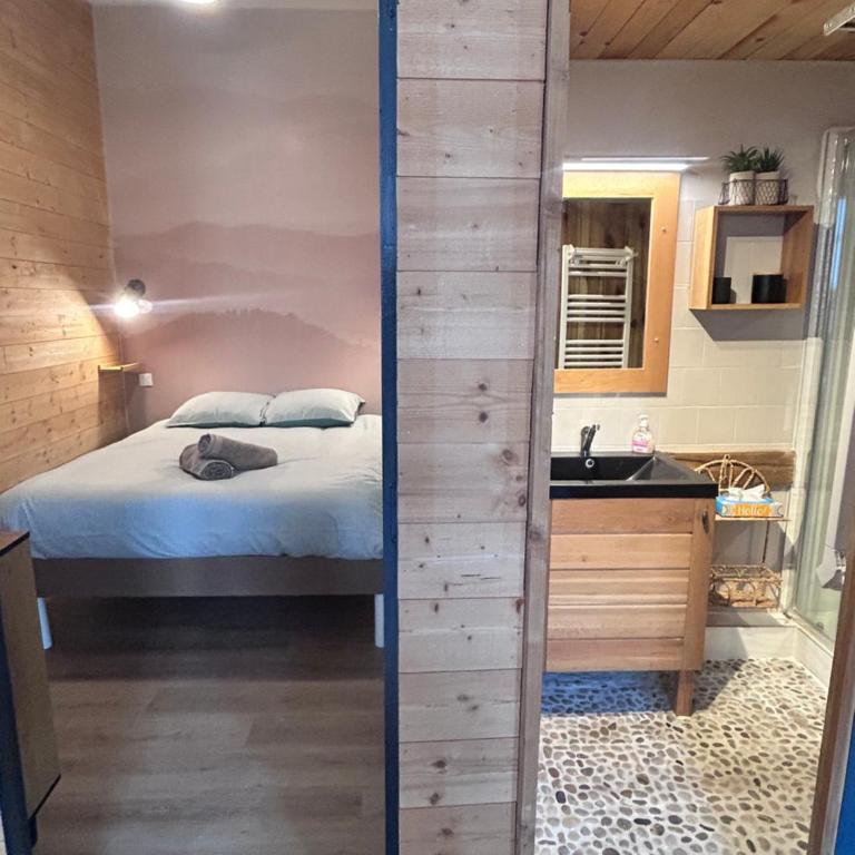 Le Génie des étoiles, centre ville et cocon - Apartamento de 2 dormitorios - 7