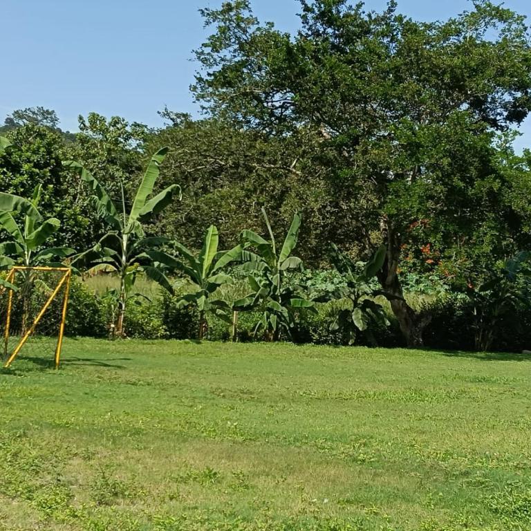 Shaddai Villeta Centro Ecoturistico - One-Bedroom Villa - 51