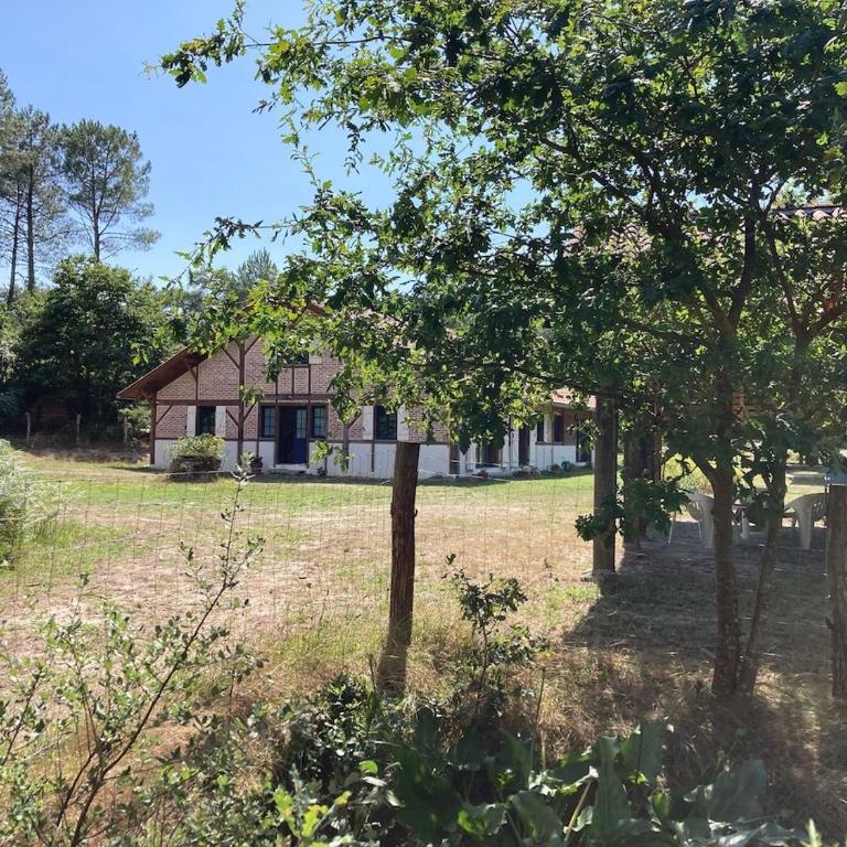 Domaine Barrail - Grande Maison Landaise - 20 lits - Maison 7 Chambres - 14