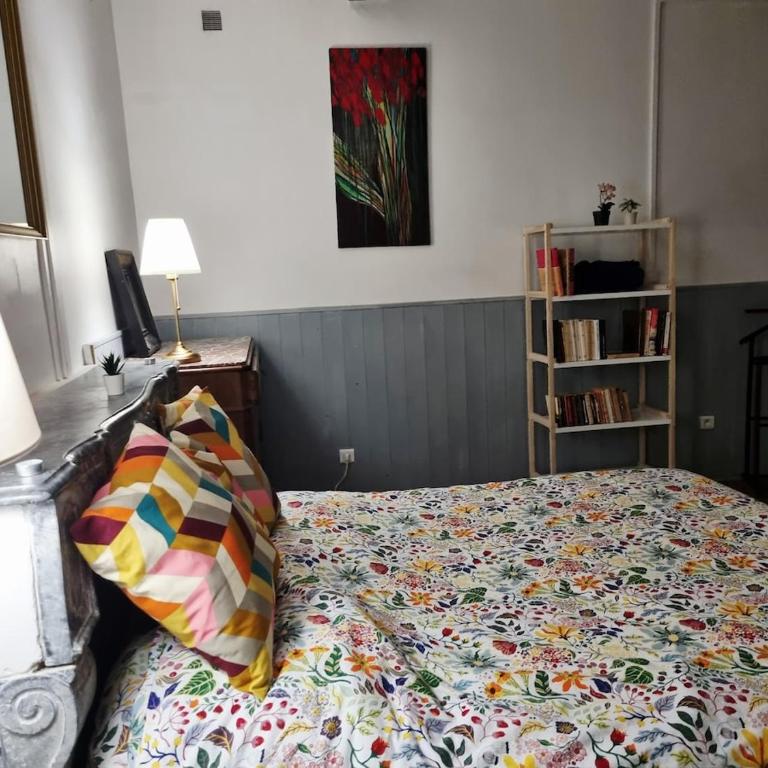 Apartment with garden in the heart of Arles - Appartement 2 Chambres - 4