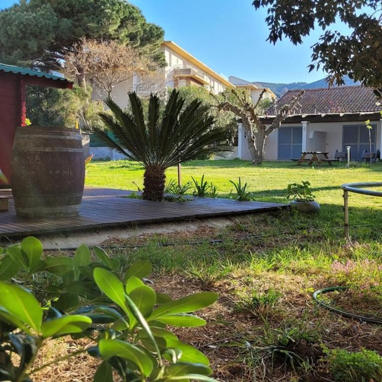 STUDIO Villa Maghjo CALVI CORSE PROCHE PLAGE - Apartment mit 1 Schlafzimmer - 8