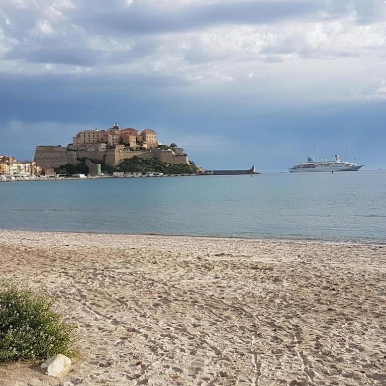 STUDIO Villa Maghjo CALVI CORSE PROCHE PLAGE - Apartment mit 1 Schlafzimmer - 4