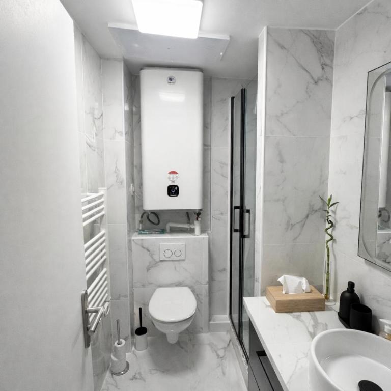 Superbe appartement Guist'hau - Apartment mit 2 Schlafzimmern - 11