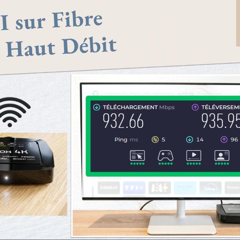 Chambre Chez l'Habitant - Business & Détente - Lacs & Chartreuse, Proche A43 - Chambre Double ou Lits Jumeaux avec Lit d'Appoint - 1