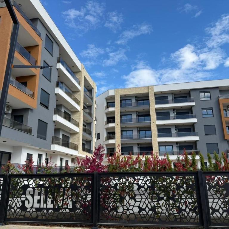 Aura Apartments - One-Bedroom Apartment - 1