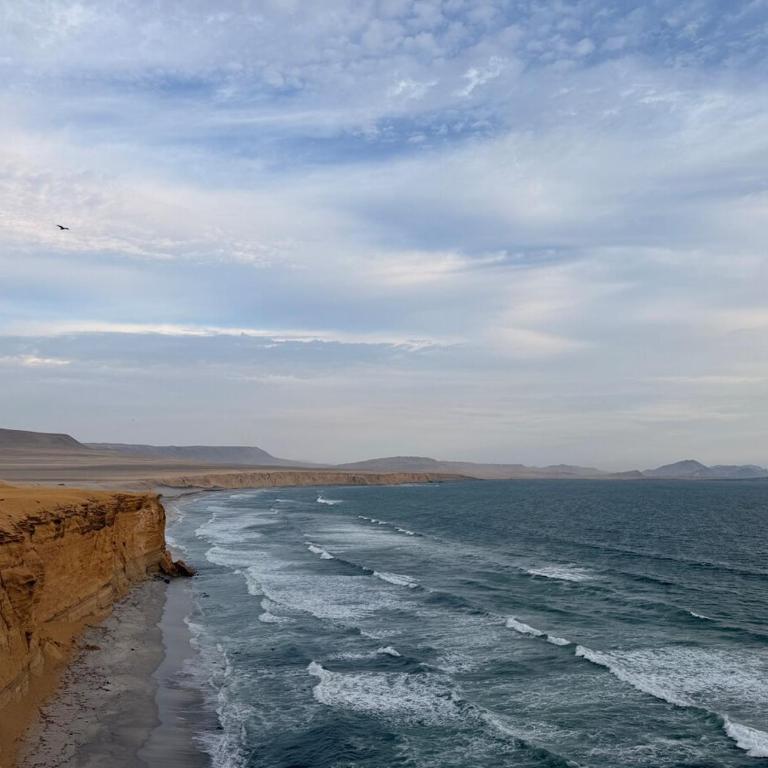 Boho Chic Apartment in Paracas - 2BR - 8 persons - Apartamento de 2 dormitorios - 6