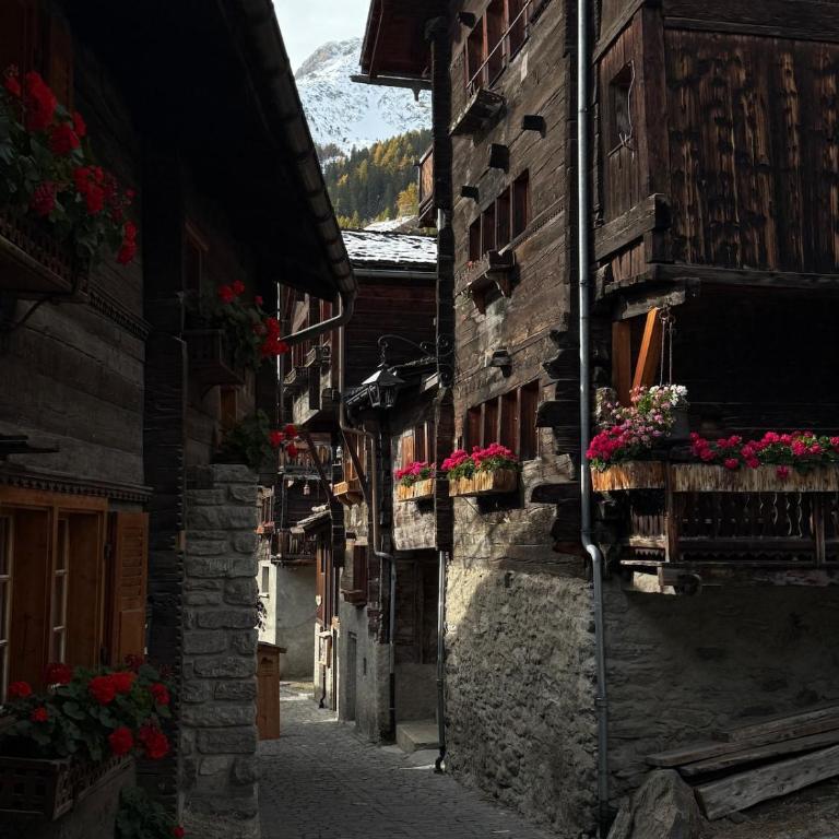 La Grangette - Chalet mit 1 Schlafzimmer - 12